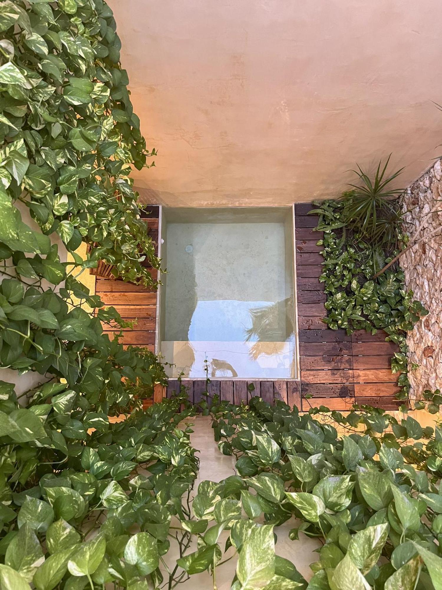 Loft Privado Centro Merida Casa Josefina Eksteriør billede